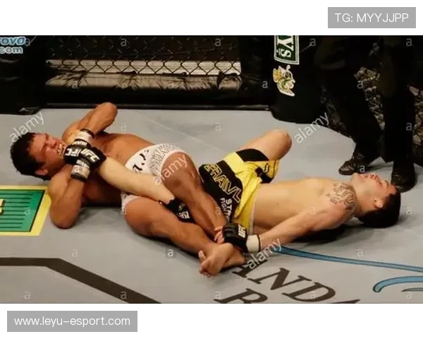 UFC经典瞬间：手臂十字固锁，终结对手的制胜一击