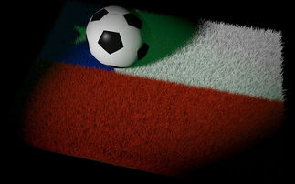 青少年足球比赛：培养未来国家队主力，青少年的足球联赛